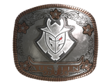 Artwork for Sticker | G2 Esports (Foil) | Austin 2025