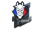 Artwork for Sticker | G2 Esports (Foil) | Boston 2018