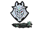 Artwork for Sticker | G2 Esports (Glitter) | Antwerp 2022