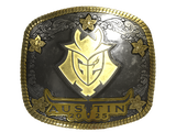 Artwork for Sticker | G2 Esports (Gold) | Austin 2025
