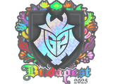Artwork for Sticker | G2 esports (Holo) | Budapest 2025