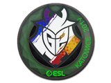 Artwork for Sticker | G2 Esports (Holo) | Katowice 2019