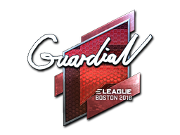 Sticker | GuardiaN | Boston 2018