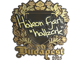 Artwork for Sticker | hallzerk (Gold) | Budapest 2025