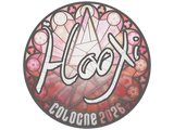 Artwork for Sticker | HooXi | Cologne 2026