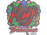 Artwork for Sticker | HooXi (Embroidered) | Budapest 2025
