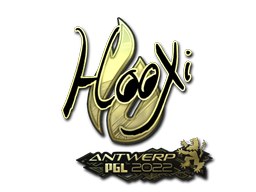 HooXi - CS2 Sticker