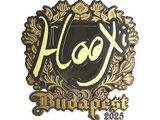 Artwork for Sticker | HooXi (Gold) | Budapest 2025