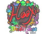 Artwork for Sticker | HooXi (Holo) | Budapest 2025