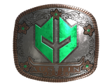 Artwork for Sticker | Imperial Esports (Foil) | Austin 2025