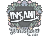 Artwork for Sticker | insani | Budapest 2025