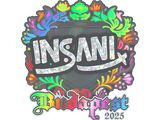 Artwork for Sticker | insani (Holo) | Budapest 2025