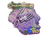 Artwork for Sticker | Jame (Champion) | Rio 2022