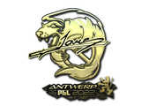 Artwork for Sticker | Jame (Gold) | Antwerp 2022