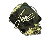 Artwork for Sticker | Jame (Gold) | Rio 2022