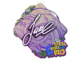 Artwork for Sticker | Jame | Rio 2022