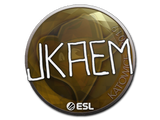 Artwork for Sticker | jkaem | Katowice 2019