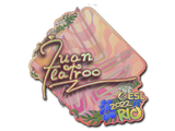 Artwork for Sticker | juanflatroo (Holo) | Rio 2022