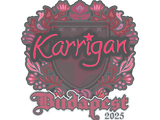 Artwork for Sticker | karrigan | Budapest 2025