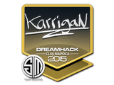 Artwork for Sticker | karrigan | Cluj-Napoca 2015