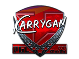Artwork for Sticker | karrigan (Foil) | Krakow 2017