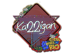 Sticker | karrigan | Rio 2022