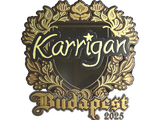 Artwork for Sticker | karrigan (Gold) | Budapest 2025