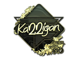 Sticker | karrigan | Rio 2022