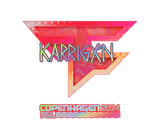 Artwork for Sticker | karrigan (Holo) | Copenhagen 2024