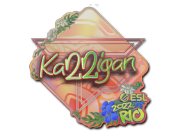 Sticker | karrigan | Rio 2022