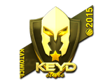 Artwork for Sticker | Keyd Stars (Gold) | Katowice 2015