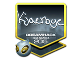 Artwork for Sticker | Kjaerbye (Foil) | Cluj-Napoca 2015