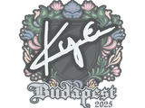 Artwork for Sticker | kye | Budapest 2025