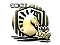 Sticker | Liquid | 2020 RMR - CS2 Sticker