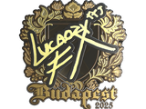 Artwork for Sticker | Lucaozy (Gold) | Budapest 2025