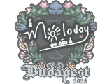 Artwork for Sticker | molodoy | Budapest 2025