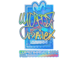 Artwork for Sticker | mopoz (Holo) | Copenhagen 2024