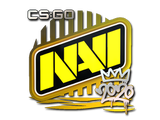 Artwork for Sticker | Natus Vincere | 2020 RMR