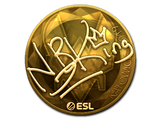 Artwork for Sticker | NBK- (Gold) | Katowice 2019