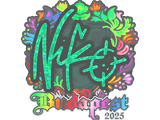 Artwork for Sticker | NiKo (Holo) | Budapest 2025
