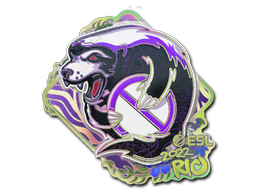 Sticker | Outsiders | Rio 2022