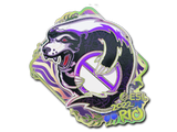 Artwork for Sticker | Outsiders (Holo) | Rio 2022