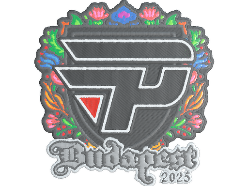 Sticker | paiN Gaming | Budapest 2025