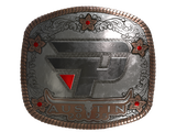 Artwork for Sticker | paiN Gaming (Foil) | Austin 2025