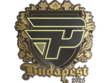 Artwork for Sticker | paiN Gaming (Gold) | Budapest 2025