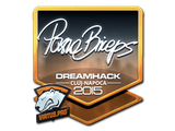Artwork for Sticker | pashaBiceps (Foil) | Cluj-Napoca 2015