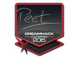Artwork for Sticker | peet | Cluj-Napoca 2015