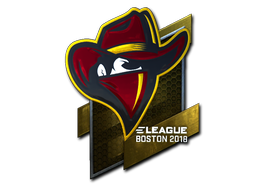 Sticker | Renegades | Boston 2018