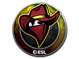 Sticker | Renegades | Katowice 2019