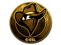 Sticker | Renegades | Katowice 2019